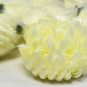 Chrysanthème Jaune/Crème Artificielle D13cm