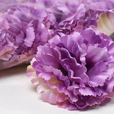 Carnation Violet D9cm