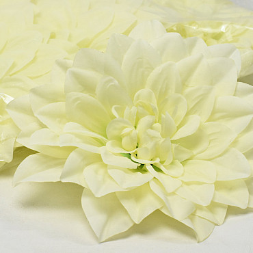 Dahlia Cream/Green