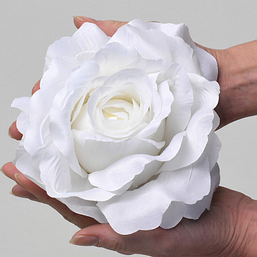 Rose Satin D20cm Blanc