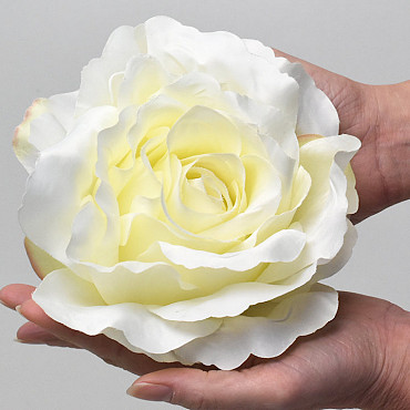 Rose Satin D20cm Creme