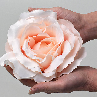 Rose Satin D20cm Rosa