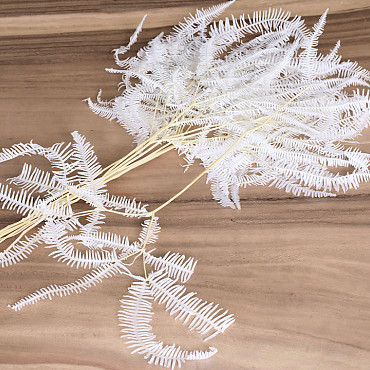 Fern XL Bleached 70cm 10pcs 