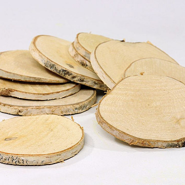 Birch Slice Dia9cm 10-pack