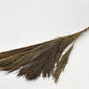 Broom Grass 100gr.