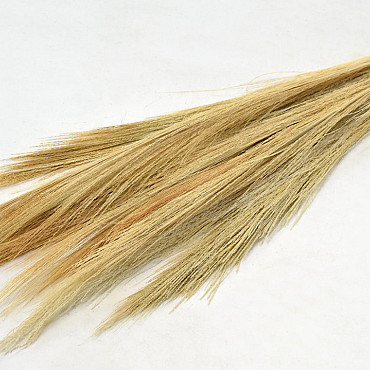 Broom Grass 100gr. Ecru