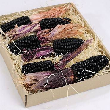 Corn black Ø4-5cm 6-pack
