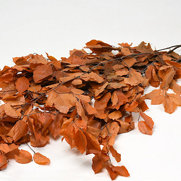 Beech Leaves Orange 80cm