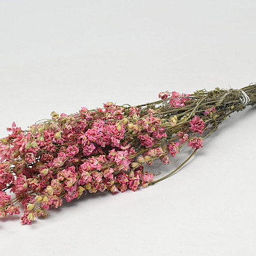 Bouquet Delphinium Rose 60cm