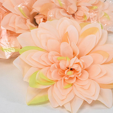 Dahlia Peach 20cm 