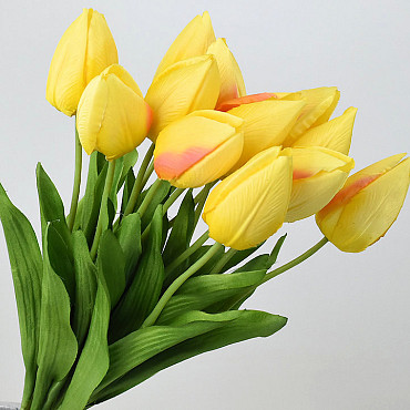 Tulip Yellow 50cm 