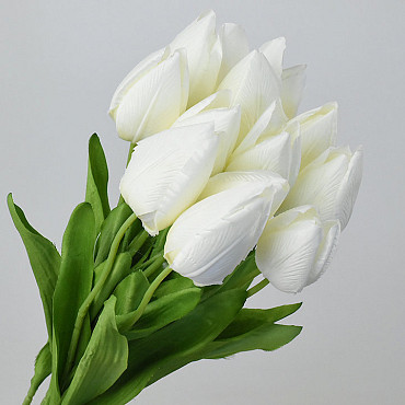 Tulp Creme 50cm