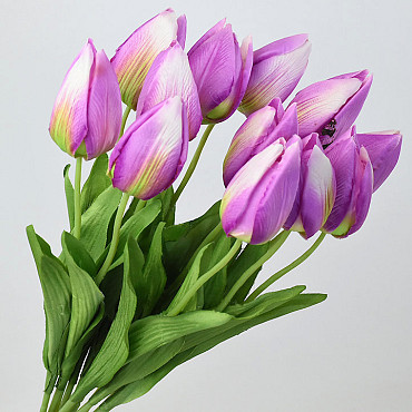 Tulip Pink 50cm 