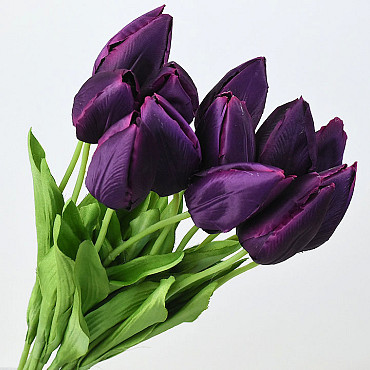 Tulip Purple 50cm 