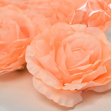 Rose Peach D21cm