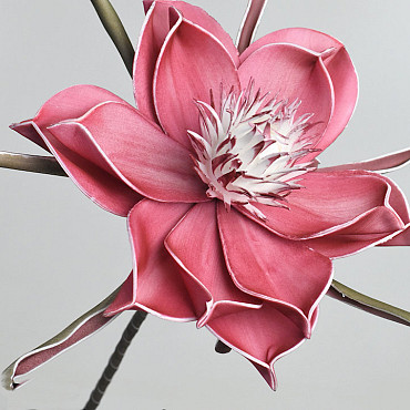 Foam Flower Dark Pink, D 20cm