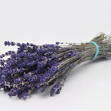 Getrockneter Lavendel 45gr.