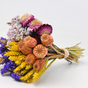 Dried Flower Bouquet Colourful 25cm