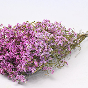 Limonium 60cm Hellrosa