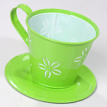 Cup and Saucer D16cm Green