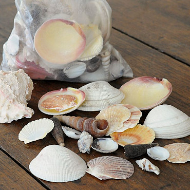 Muscheln Mix 1Kg