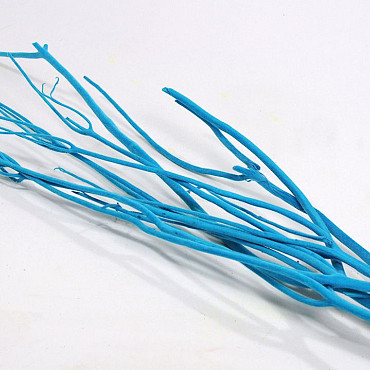 Mitsumata 115cm Blauw