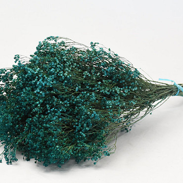 Broom Bloom Petrol Blue 50cm