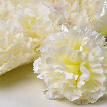 Carnation Cream D9cm 