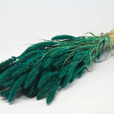 Setaria Smaragdgroen 65cm