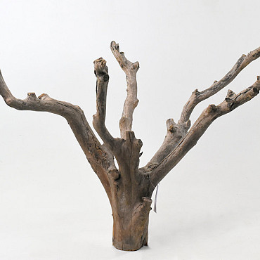 Tee Baum 65cm