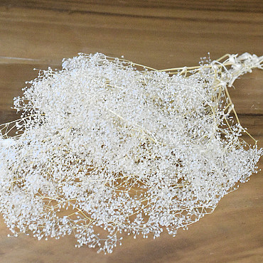 Gypsophila 100gr. 35cm