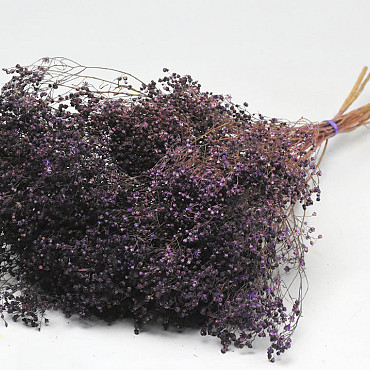 Bouquet Broom Bloom Violet 50cm
