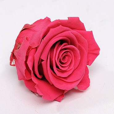 Rose Heads 5cm Dark Pink