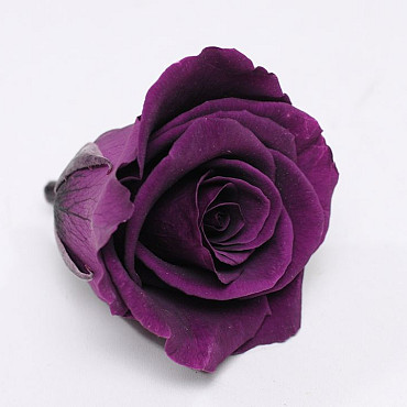 Rose Heads 5cm Purple