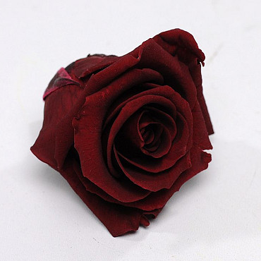 Rose Heads 5cm Burgundy