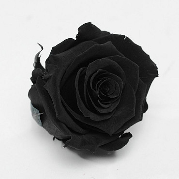 Rose Heads 5cm Black