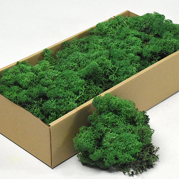 Reindeer Moss Grass Green 500g.