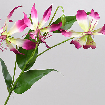 Artificial Gloriosa Pink 80cm 