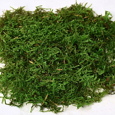 Sheet Moss Green Sample