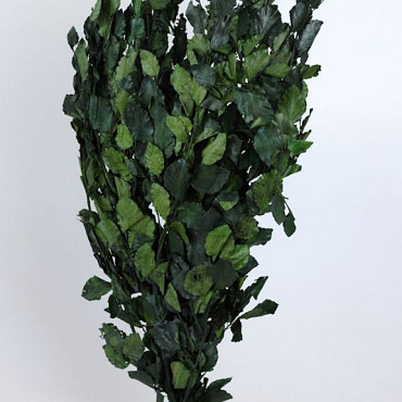 Beukenblad Groen 1kg