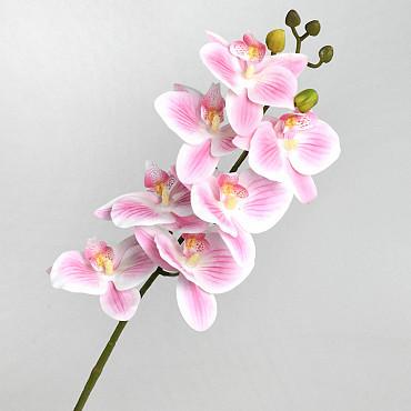 Artificial Orchid Pink/Cream 73cm 