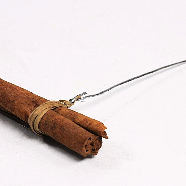 Cinnamonpossy on wire