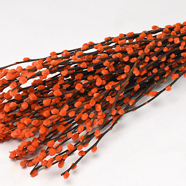 Dried Pussy Willow 70cm Orange 50pcs