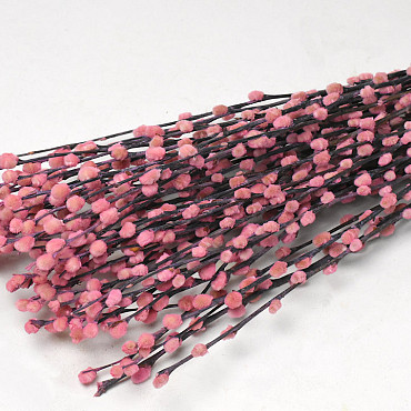 Dried Pussy Willow 70cm Pink 50pcs