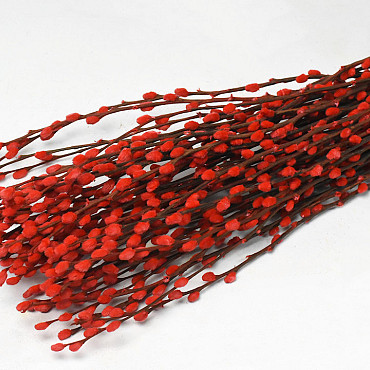 Dried Pussy Willow 70cm Red 50pcs