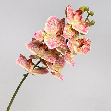 Kunst Orchidee Roze 73cm