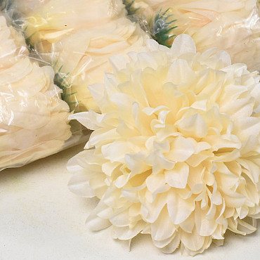 Chrysanthème Crême Hiver D15cm