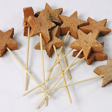 Coconut star on 12cm Stem