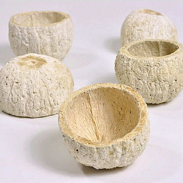 Ourico Bleached 9-11cm