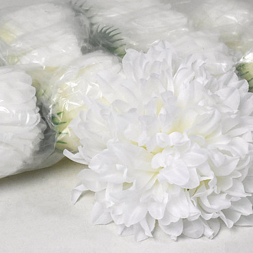 Chrysanthemum Cream D15cm